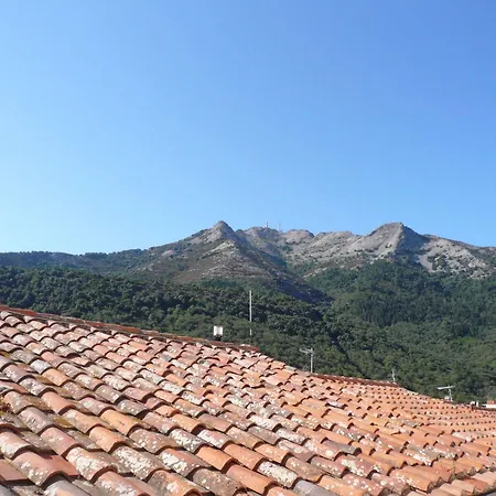 Stellamares